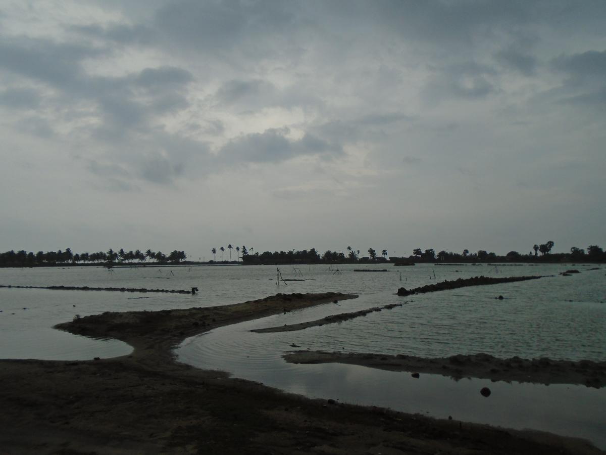 Kite Bay Villa Kalpitiya Kültér fotó
