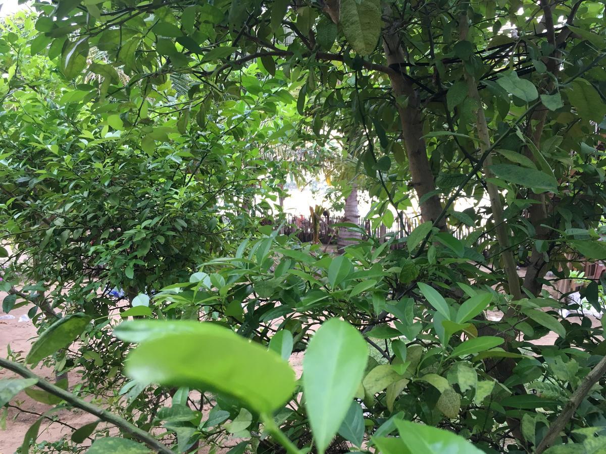 Kite Bay Villa Kalpitiya Kültér fotó